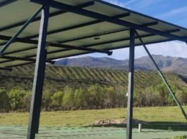 Madrigal de las Altas Torres acoge una jornada de tiro al plato - Deportes  Ávila